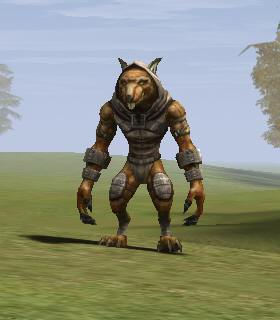 Kuruka Ratman Leader