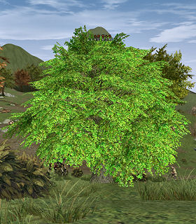 Fairy Tree of Twilight